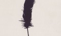 broken-republic