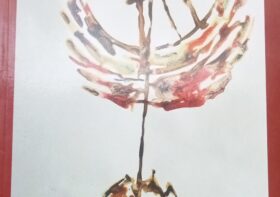 పాతాళ గరిగె – లోపలి మాట